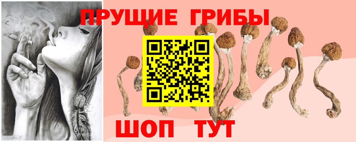 Псилоцибиновые грибы мухоморы  Галлюциногенные грибы прущие грибы  Карачаевск  Вход с VPN 