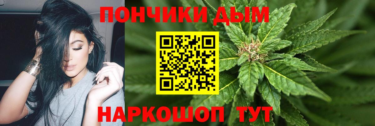 Бошки марихуана OG Kush Карачаевск